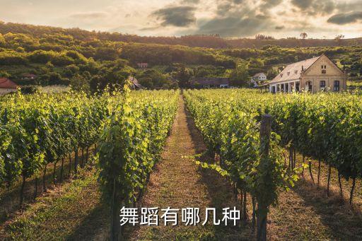 少兒爵士舞教學視頻,爵士舞視頻女生版帥氣...